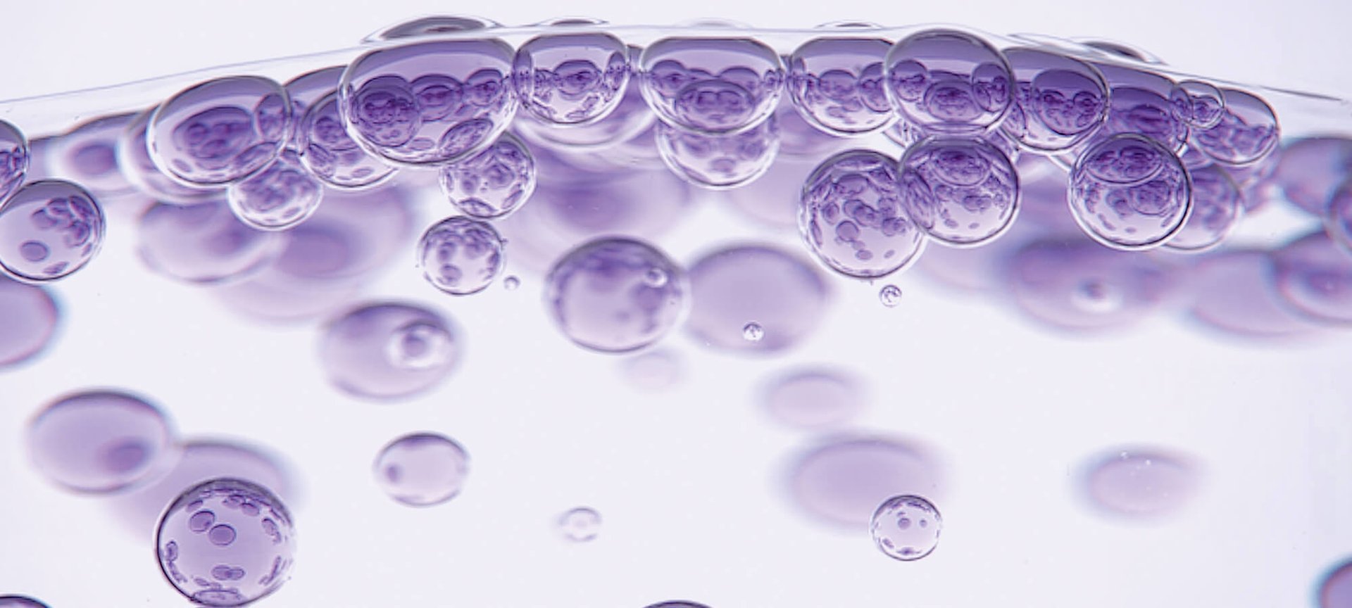 Kulit Berminyak Juga Butuh Hidrasi Intip Fungsi Hyaluronic Acid Yang Bisa Mengatasi Masalah Ini