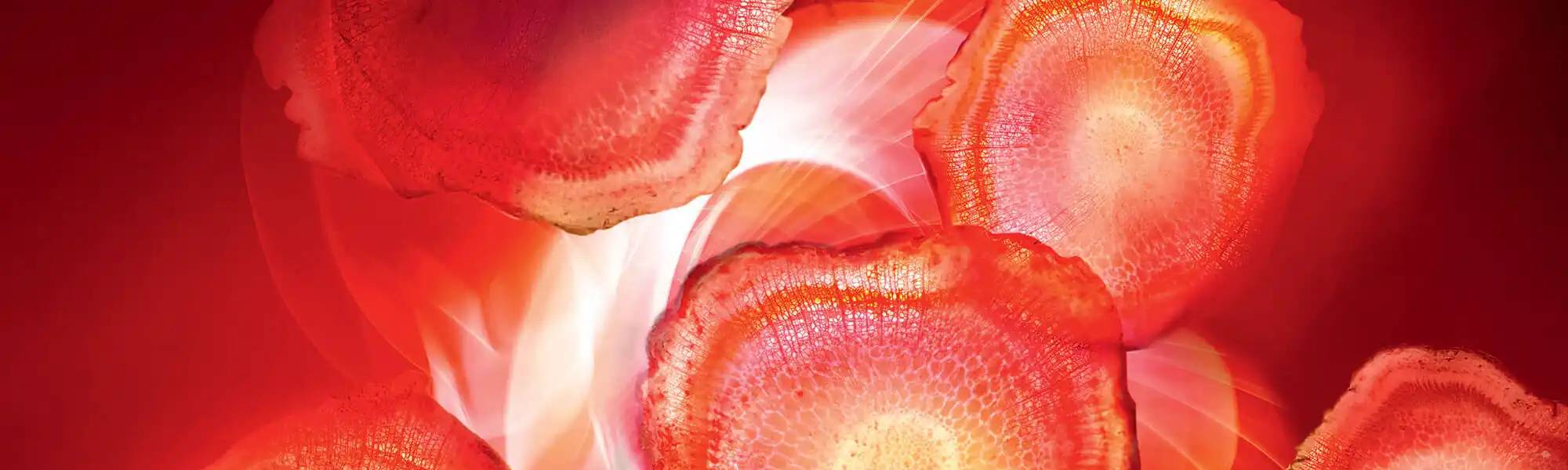 Rekomendasi Dan Tips Memilih Lip Gloss Untuk Remaja