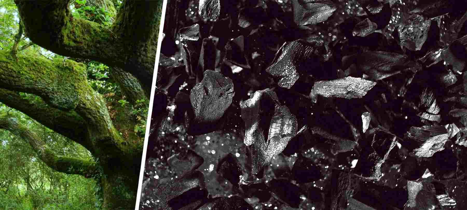 3 JENIS MASKARA YANG HARUS DIBAWA SAAT TRAVELING Min