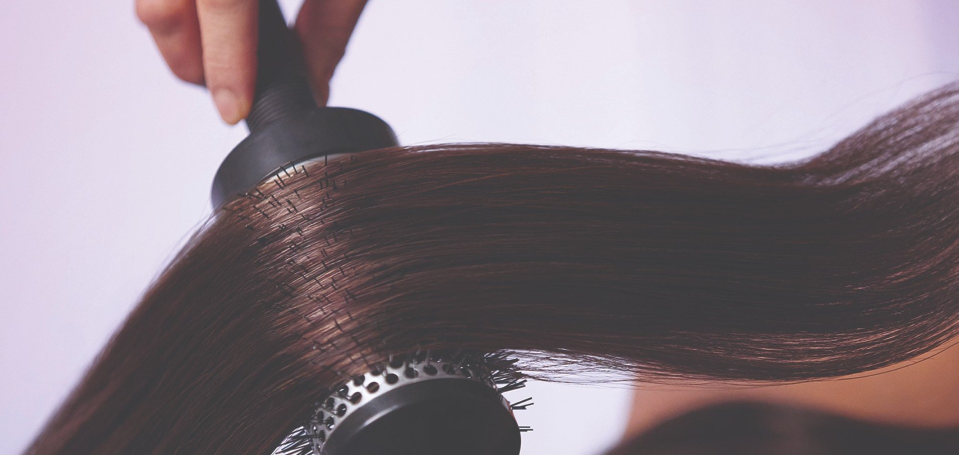 Website PPD Homepage 1920x864