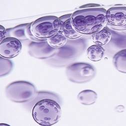 HYALURONIC ACID
